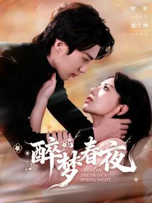 醉梦春夜海报