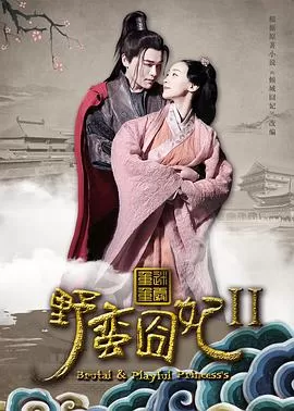 野蛮囧妃2:迷雾重重海报