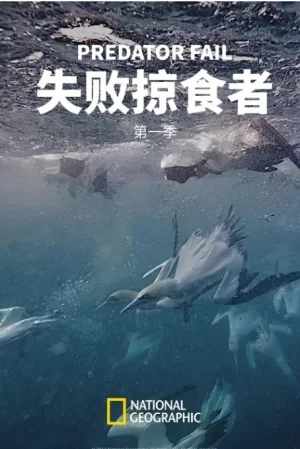 失败掠食者第一季海报