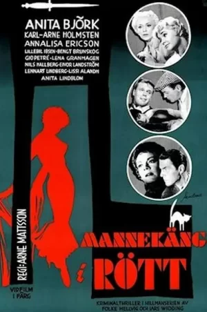 侦探希尔曼系列:红衣模特海报