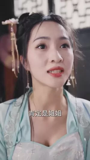 将军夫人不好惹海报