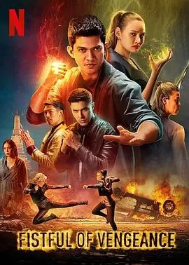 复仇铁拳[电影解说]海报