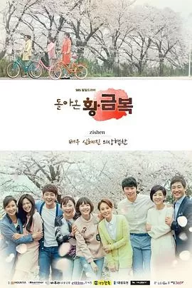 归来的黄金福海报