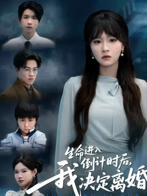 生命进入倒计时后,我决定离婚海报