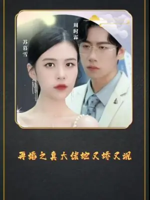 再婚之真大佬她又娇又飒海报