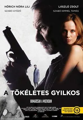 正义狙击Atökéletesgyilkos海报
