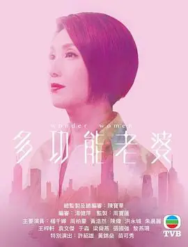 多功能老婆(粤语)海报