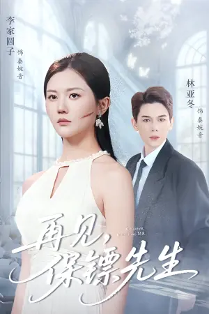 再见保镖先生海报