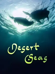 沙漠之海海报