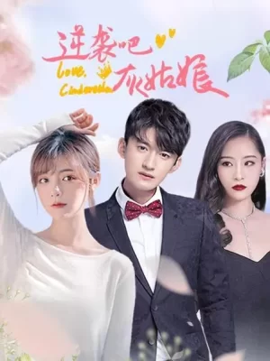 逆袭吧,灰姑娘海报