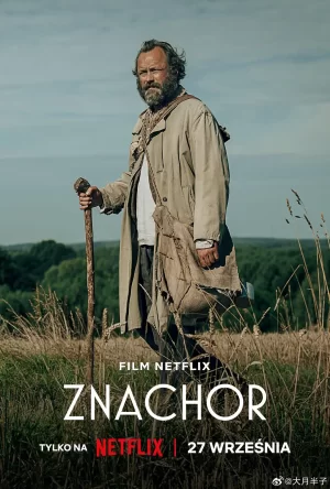 被遗忘的爱[电影解说]海报