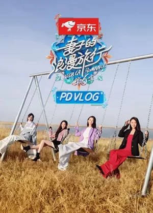 妻子的浪漫旅行6PDvlog海报