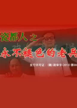 瓷都人之永不褪色的老兵海报