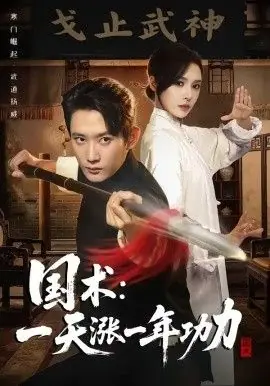 国术,一天涨一年功力海报