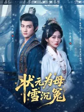 状元为母雪沉冤海报