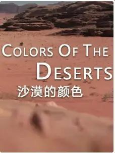 沙漠的颜色海报