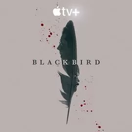 黑鸟BlackBird[电影解说]海报
