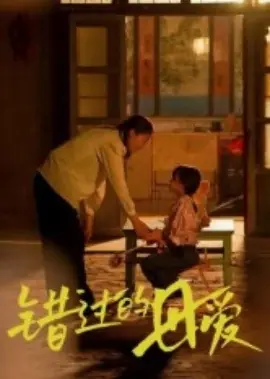 错过的母爱海报