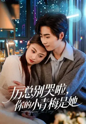 厉总别哭啦,你的小青梅是她海报