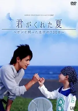 你给我的夏天海报