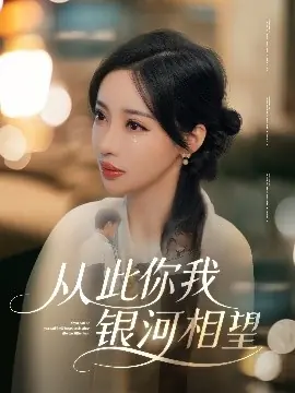 从此你我银河相望海报