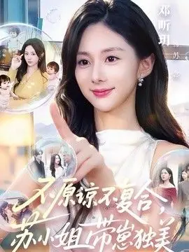 不原谅不复合,苏小姐带崽独美海报