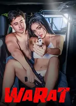 权力的玩物海报