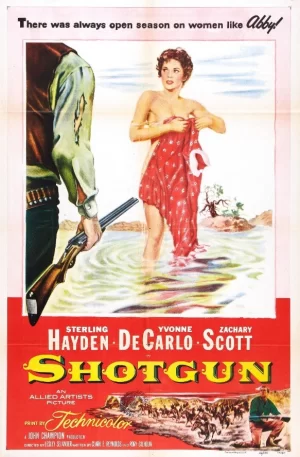 连环枪虎将海报