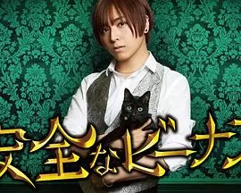 安全维纳斯海报