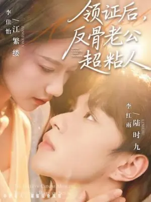 领证后,反骨老公超粘人海报