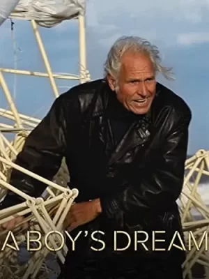 男孩的梦想海报