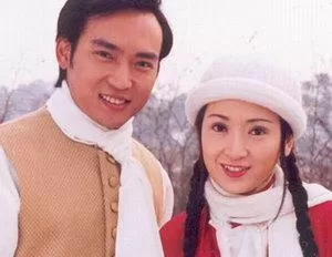 新鸳鸯蝴蝶梦海报