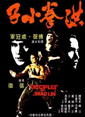 洪拳小子(粤语)海报