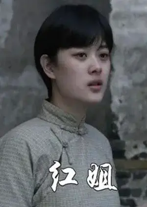 红姐海报