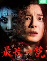最长一梦海报