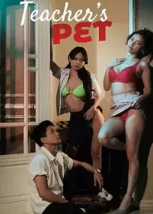 老师的宠物海报