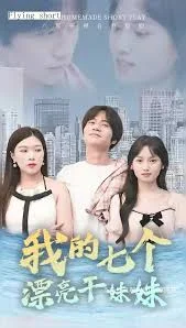 我的七个漂亮干妹妹海报