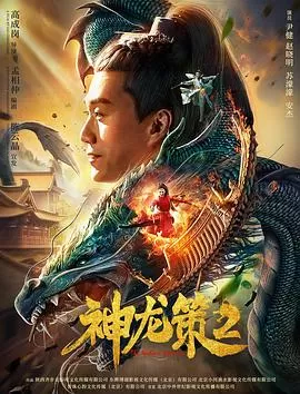 神龙策2海报