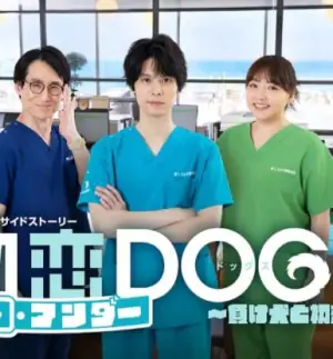 初恋UNDERDOGs～败犬与初恋～海报