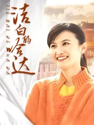 洁白的哈达海报