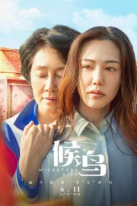 候鸟2021海报