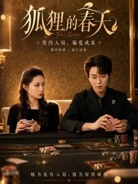 狐狸的春天海报