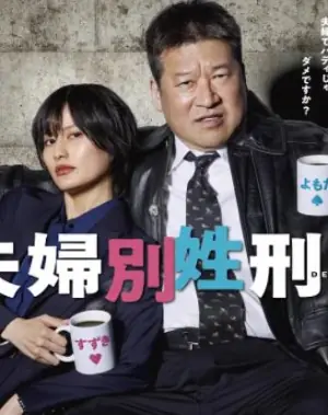 夫妇别姓刑警海报