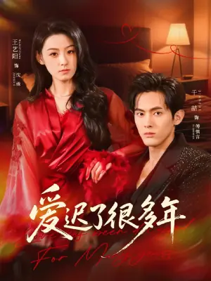 爱迟了很多年海报