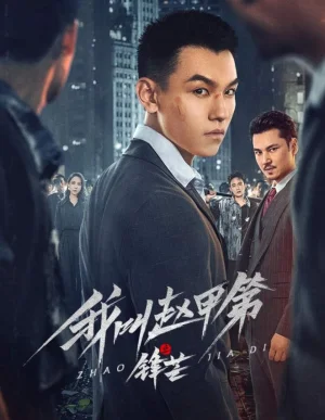 我叫赵甲第之锋芒海报