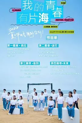 我的青春有片海海报