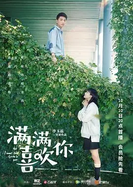满满喜欢你海报