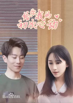 给你我的初次心动海报
