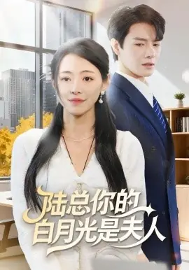 陆总你的白月光是夫人海报