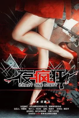 一夜疯狂海报